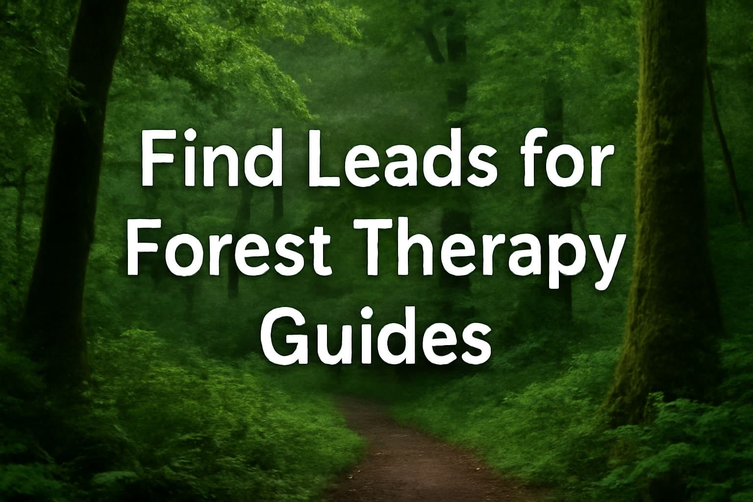 How to Use Instagram to Find Leads for Forest Therapy Guides